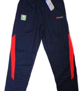Men's Navy Circuit Sideline Performance Pants